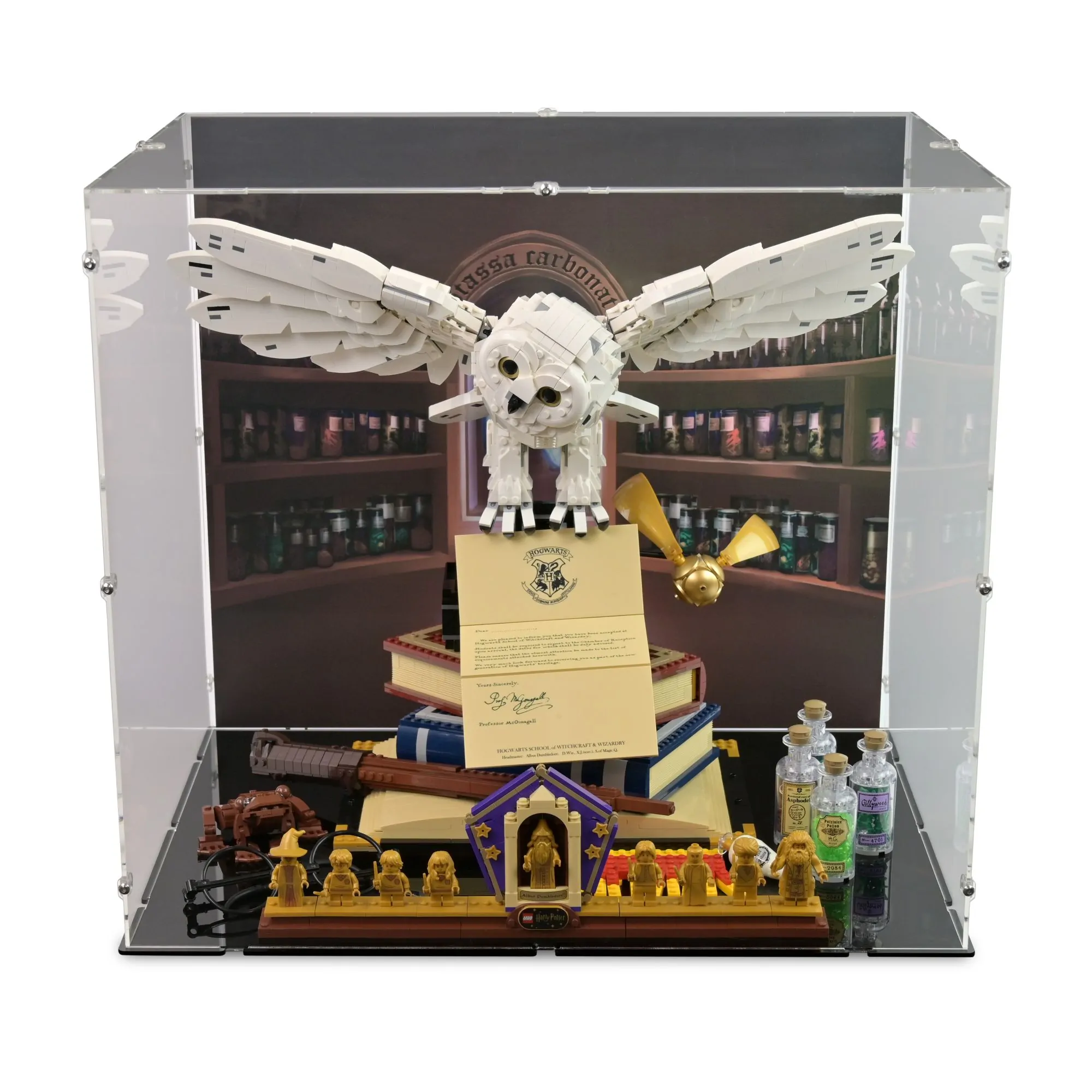 LEGO Harry Potter Hogwarts Icons Collectors Edition Release